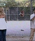 Punkd158.jpg