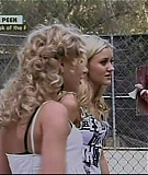 Punkd175.jpg