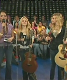 TRL-201.jpg
