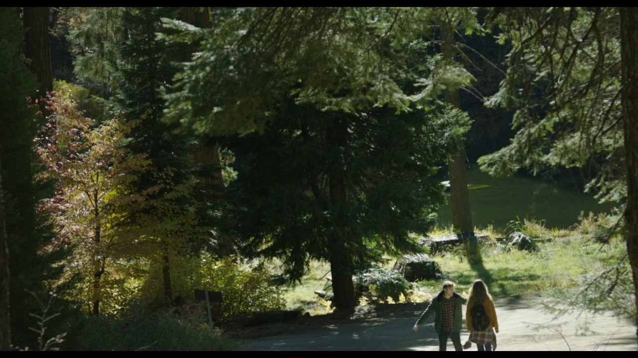 Sequoia_Captures_0512.jpg