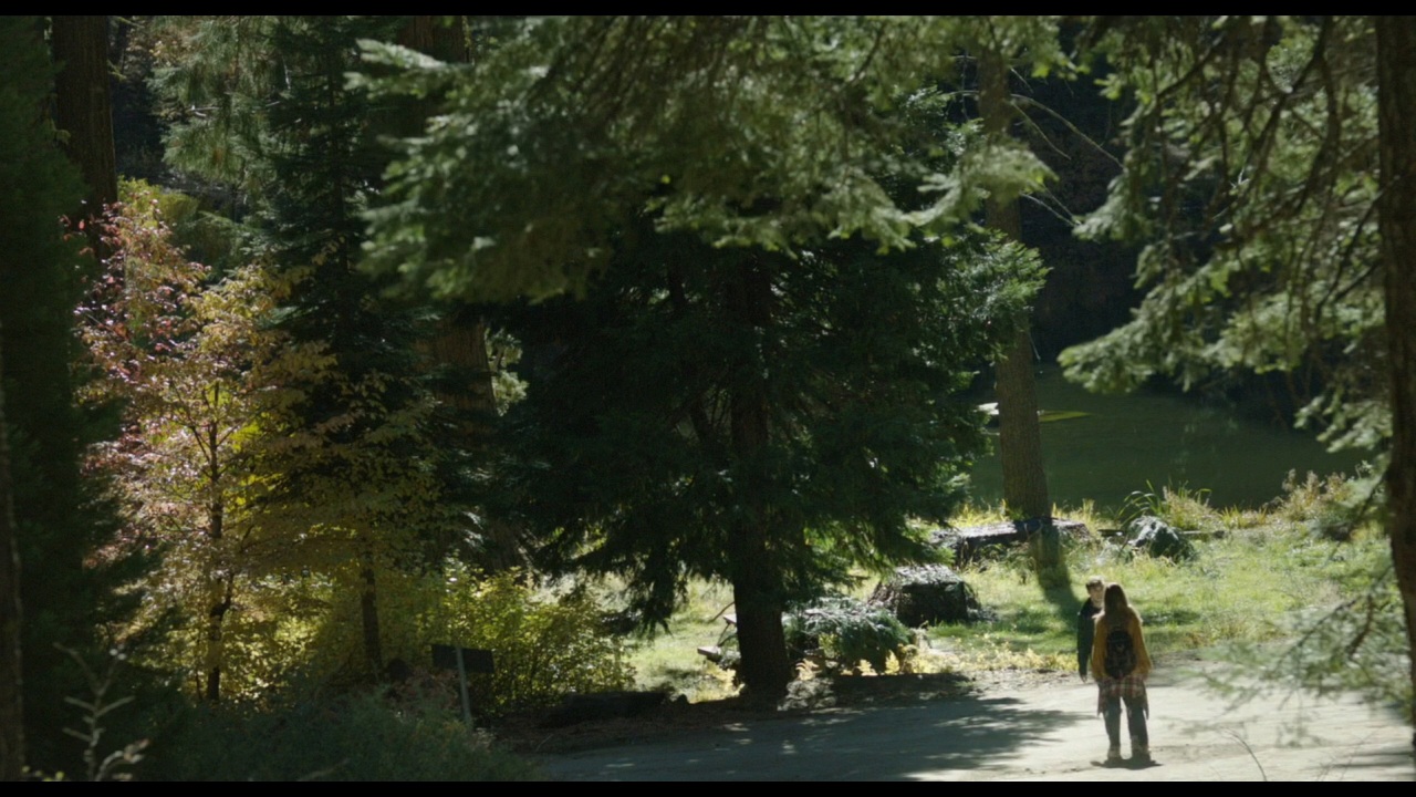 Sequoia_Captures_0514.jpg