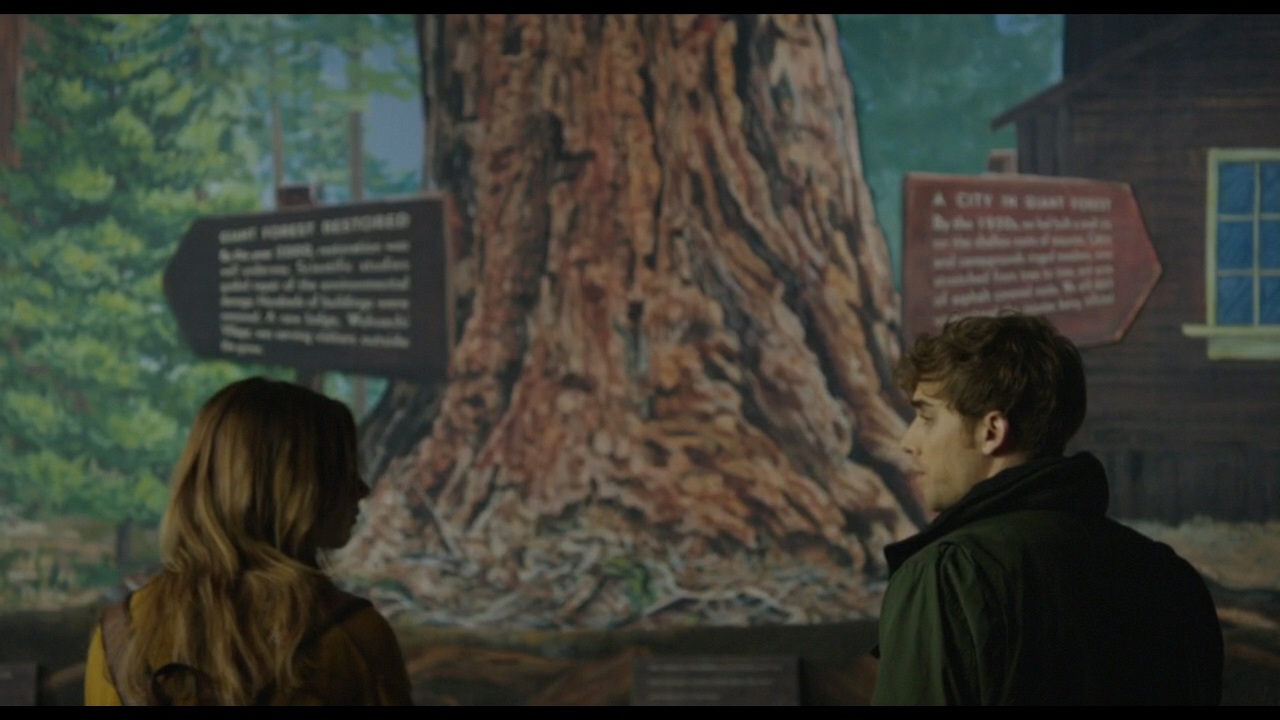 Sequoia_Captures_0590.jpg