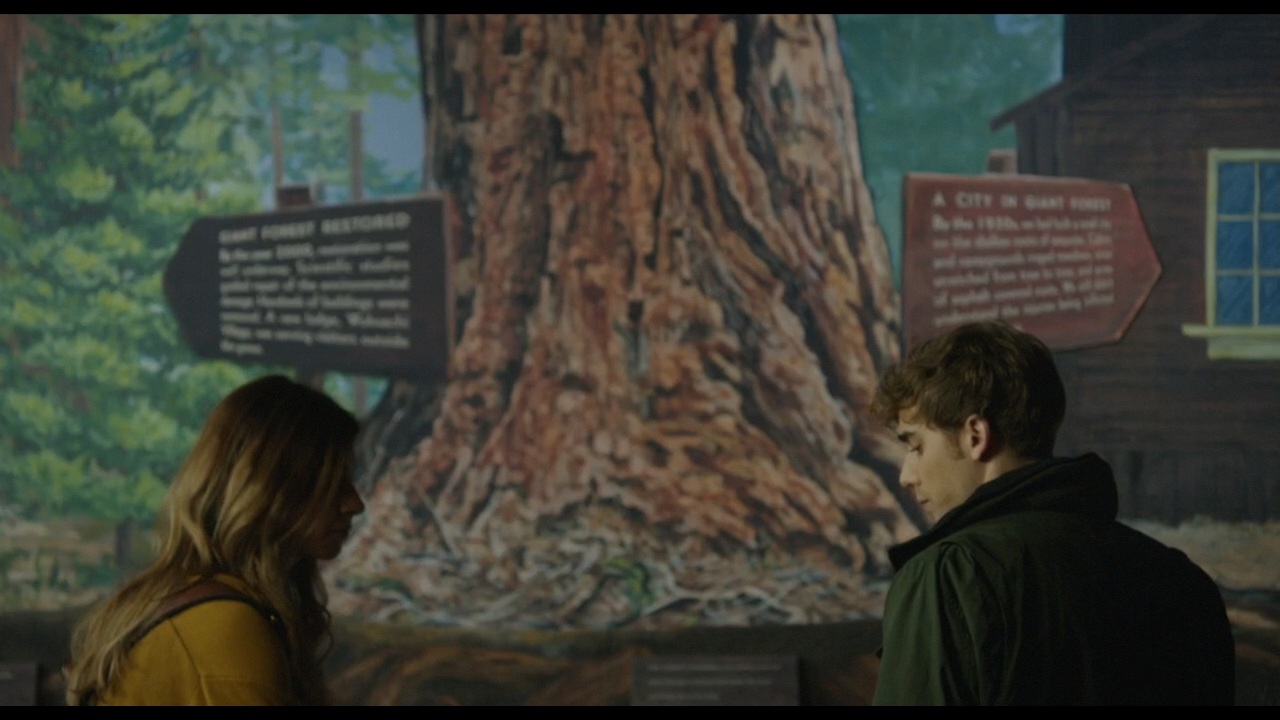 Sequoia_Captures_0591.jpg