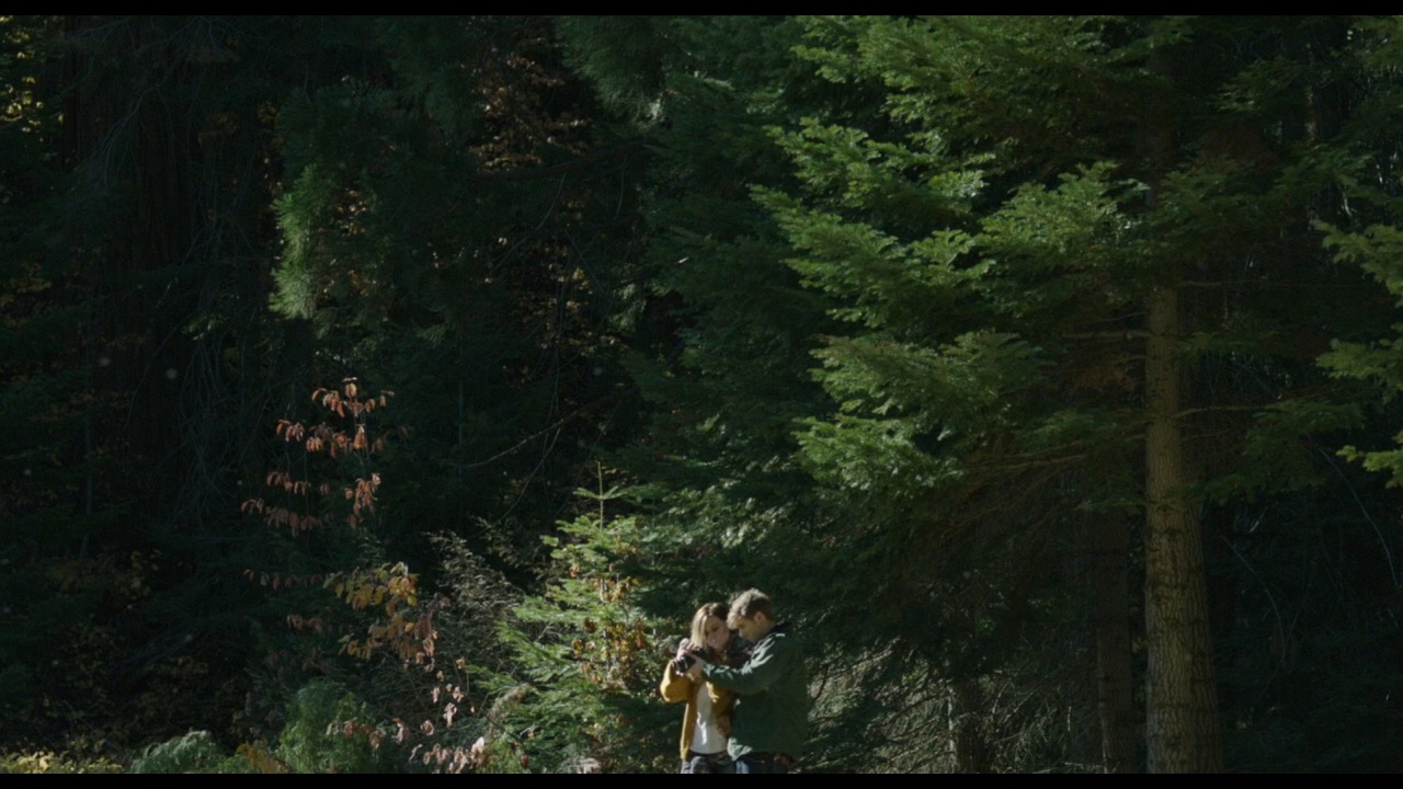Sequoia_Captures_0622.jpg