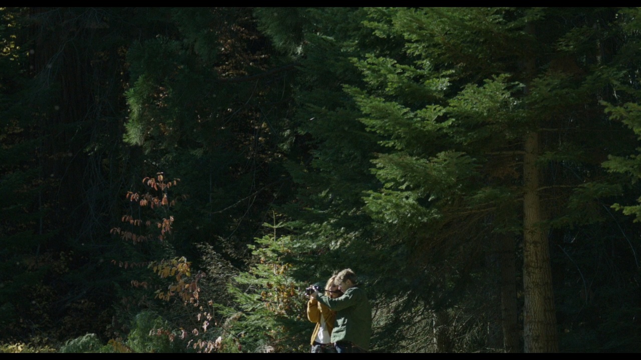 Sequoia_Captures_0623.jpg