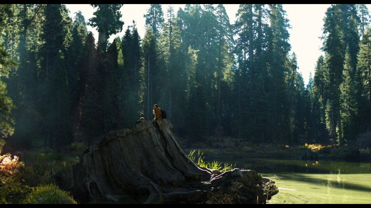 Sequoia_Captures_0638.jpg