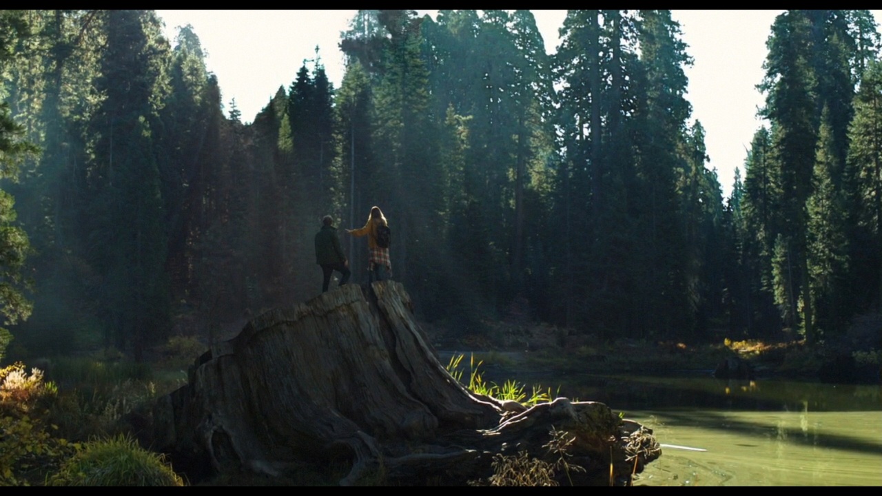 Sequoia_Captures_0658.jpg