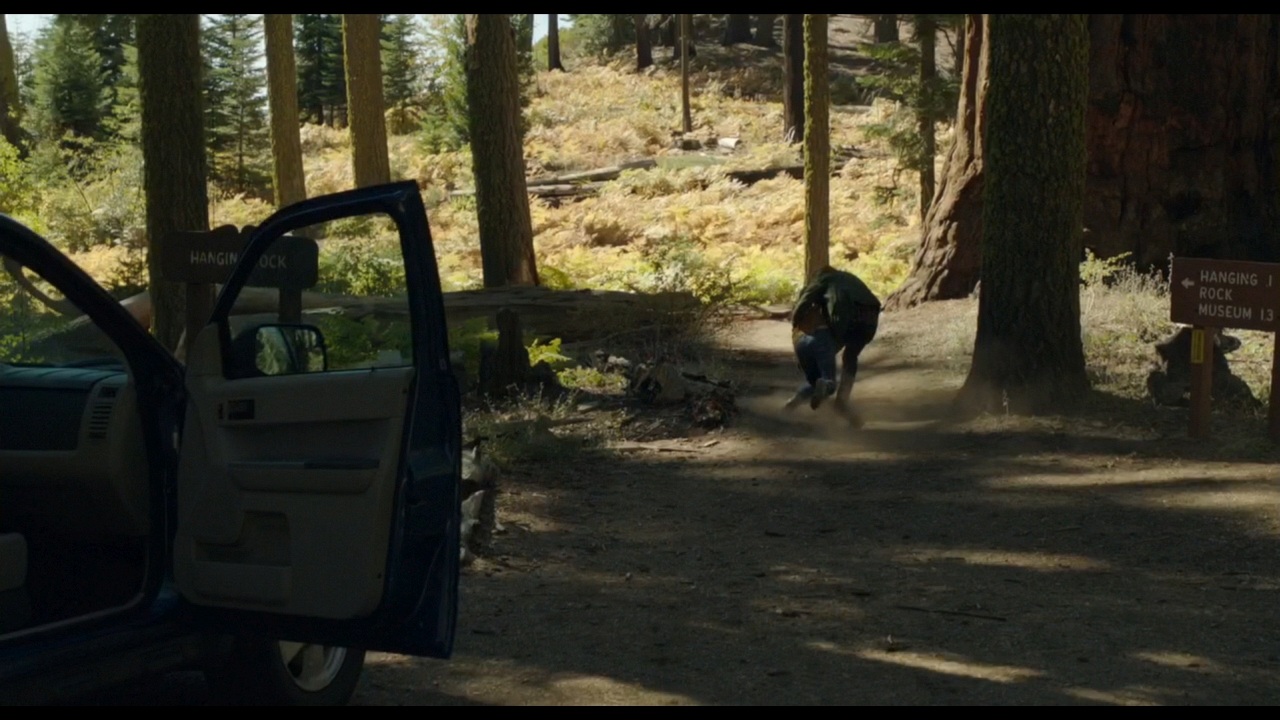 Sequoia_Captures_1105.jpg