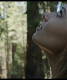 Sequoia_Captures_0152.jpg
