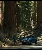 Sequoia_Captures_0161.jpg