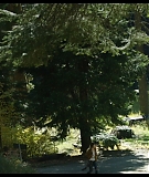 Sequoia_Captures_0497.jpg
