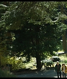 Sequoia_Captures_0500.jpg