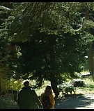 Sequoia_Captures_0509.jpg