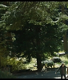 Sequoia_Captures_0512.jpg