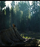 Sequoia_Captures_0638.jpg
