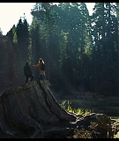 Sequoia_Captures_0658.jpg