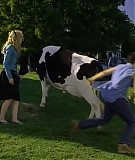 DCOMEXTRA3-COWBELLES-036.jpg
