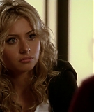 1x16_Fancy_Dan_0029.jpg