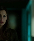 Motive_4x10_InPlainSight_0256.jpg